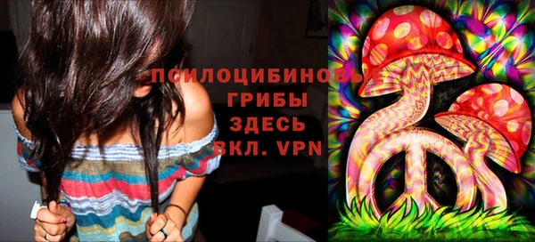 сатива Михайлов