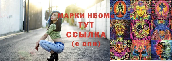 сатива Михайлов