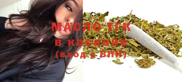 сатива Михайлов