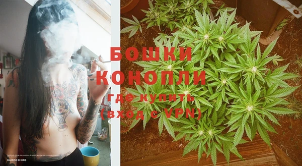 сатива Михайлов