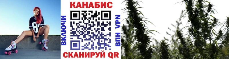 Конопля Bruce Banner  Купить закладки  Конаково 